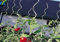 6.5MM * 1.8M Fiting Rantai Tautan Fitting Kawat Tomat Dukungan