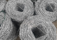 25kg Roll Galvanized Steel Cyclone Barbed Wire Untuk Pagar Elektro