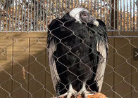 7x7 Stainless Steel Wire Rope Mesh Animal Enclosure Netting Ce Terdaftar Untuk Kebun Binatang