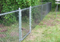 Galvanized PVC Coated Chain Link Fence Wire Mesh Untuk Taman