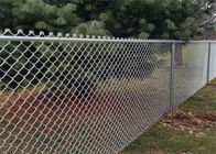 10 Gauge Pvc Coated Chain Link Fence Galvanized Diamond Mesh Fencing 50FT
