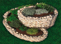 Welded Gabion Mengangkat Ranjang Kebun di Cincin Spiral / Triple untuk Sayuran Bunga