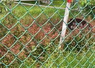 3.5mm Wire Roll Of Hdg Chain Link Mesh Fence Lapangan Olahraga Bisbol Sepak Bola