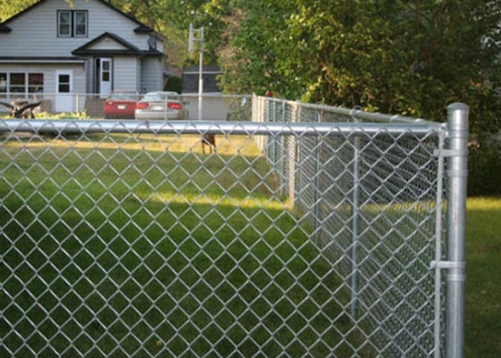 SGS 5FT High Black Vinyl Coated Chain Link Fence dengan Top Rail Fence Mesh